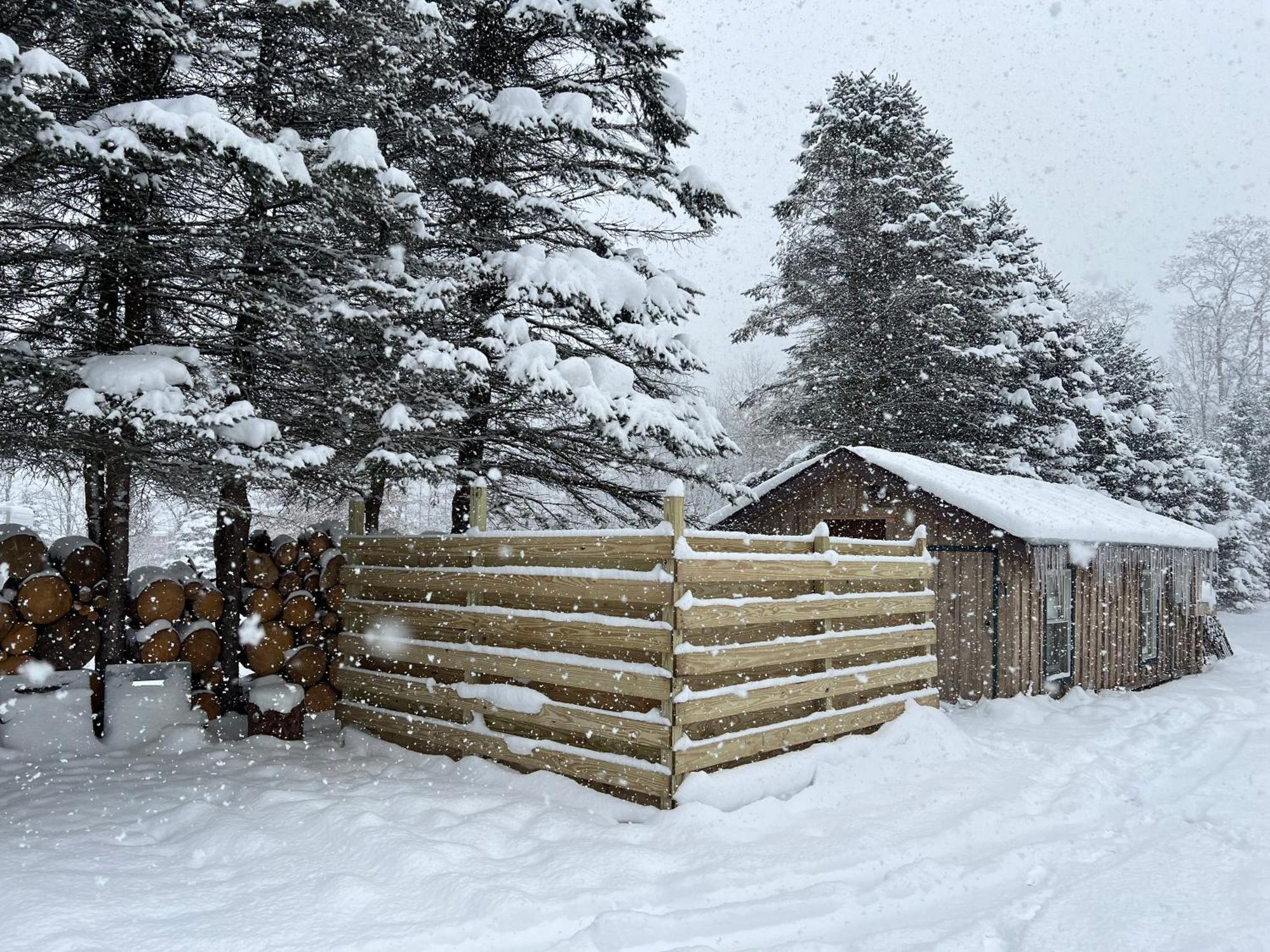 Timberline Lodge エリコットビル エクステリア 写真